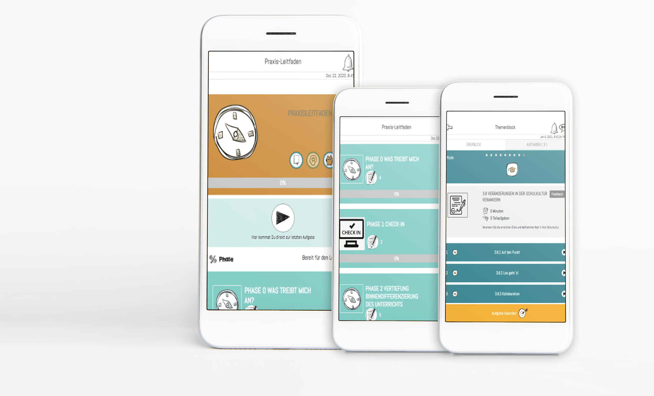 Praxisleitfaden Transformation